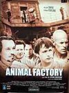 Subtitrare Animal Factory (2000)