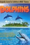 Subtitrare BBC Dolphins - Deep thinkers? (2008)