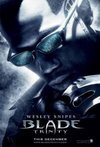 Subtitrare Blade: Trinity (2004)