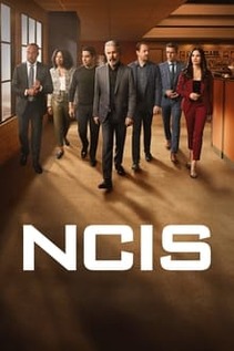 Subtitrare NCIS - Sezonul 12 (2014)