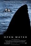 Subtitrare Open Water (2003)