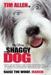 Subtitrare Shaggy Dog, The (2006)