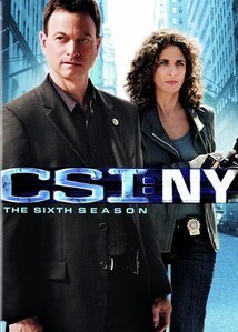 Subtitrare CSI: NY (2004) - Seria 3