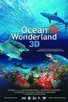 Subtitrare Ocean Wonderland (2003)