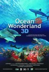 Subtitrare Ocean Wonderland (2003)