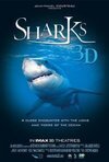 Subtitrare Sharks 3D (2004)