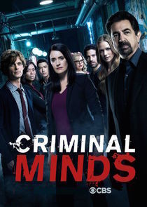 Subtitrare Criminal Minds-Sezonul 6 (2005)