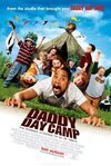 Subtitrare Daddy Day Camp (2007)