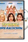Subtitrare Spring Breakdown (2009)