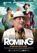 Subtitrare Roming (2007)