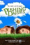 Subtitrare Pushing Daisies (2007) Sezonul 1