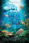 Subtitrare Under the Sea 3D (2009)