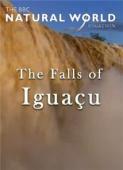 Subtitrare BBC - Natural World - The Falls of Iguacu (2006)