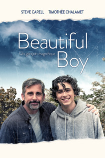 Subtitrare Beautiful Boy (2018)