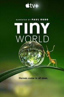Subtitrare Tiny World - Sezonul 1 (2020)