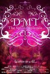 Subtitrare The Spirit Molecule (2010)