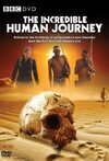 Subtitrare The Incredible Human Journey (2009)