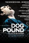 Subtitrare Dog Pound (2009)