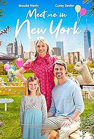 Subtitrare Meet Me in New York (TV Movie 2022)