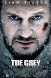 Subtitrare The Grey (2011)