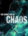 Subtitrare The Secret Life of Chaos (2010)