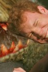 Subtitrare Swamp Shark (TV 2011)