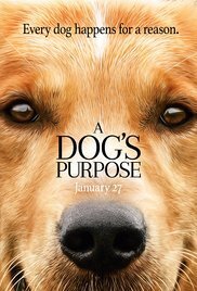 Subtitrare A Dog's Purpose (2017)