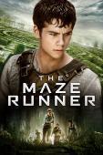 Subtitrare The Maze Runner (2014)