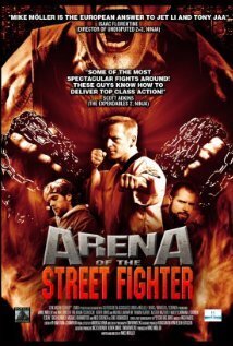 Subtitrare Arena of the Street Fighter (2012)