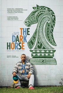 Subtitrare The Dark Horse (2014)