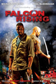 Subtitrare Falcon Rising (2014)
