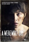 Subtitrare A Werewolf Boy (2012)