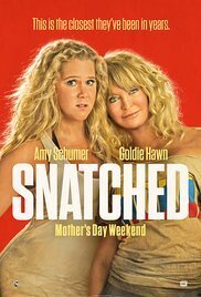 Subtitrare Snatched (2017)