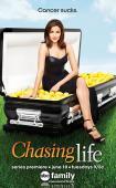 Subtitrare Chasing Life - Sezonul 2 (2015)