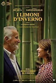 Subtitrare  Lemon Tree (I limoni d'inverno) (2023)