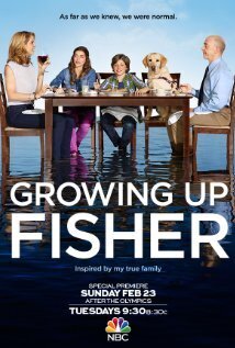 Subtitrare Growing Up Fisher - Sezonul 1 (2014)
