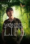 Subtitrare Wonders of Life - Sezonul 1 (2013)