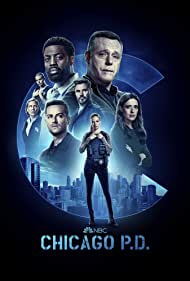 Subtitrare Chicago PD - Sezonul 4 (2016)