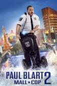 Subtitrare Paul Blart: Mall Cop 2 (2015)