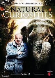 Subtitrare Natural Curiosities (TV Series 2014– )