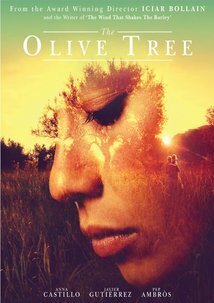 Subtitrare The Olive Tree (2016)