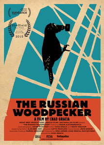 Subtitrare The Russian Woodpecker (2015)