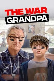 Subtitrare The War with Grandpa (2020)