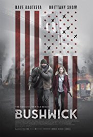 Subtitrare Bushwick (2017)