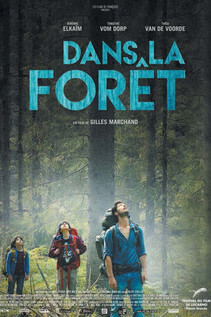 Subtitrare Into the Forest (Dans la forêt) (2016)