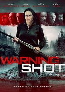 Subtitrare Warning Shot (2018)