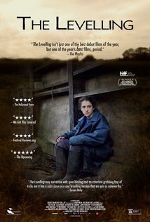 Subtitrare The Levelling (2016)