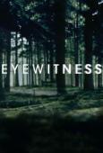 Subtitrare Eyewitness - Sezonul 1 (2016)