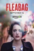 Subtitrare Fleabag - Sezoanele 1-2 (2016)