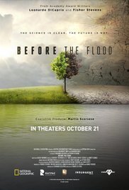 Subtitrare Before the Flood (2016)